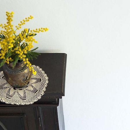 La Villa Nei Fiori Флоренция Экстерьер фото