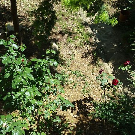La Villa Nei Fiori Флоренция Экстерьер фото